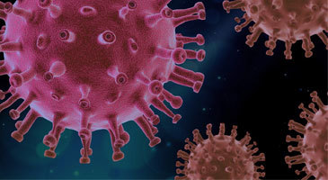 Covid-19 ressources utiles