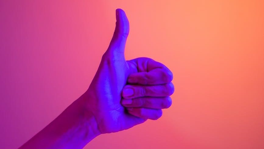 avantages et inconvénients à chaque type de managemen